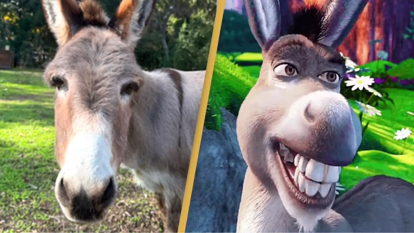 Donkey that 'inspired' Eddie Murphy's Shrek character dies aged 30